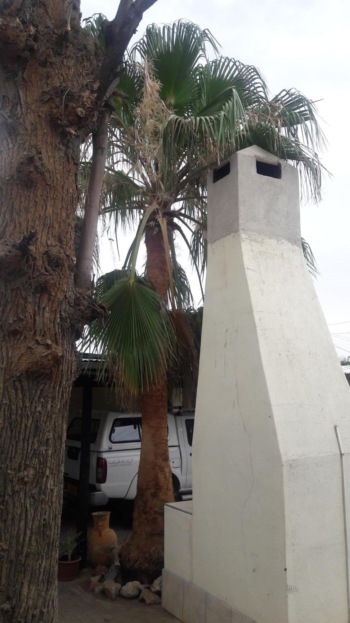 أوكاهانديا Guesthouse Villa Nina المظهر الخارجي الصورة